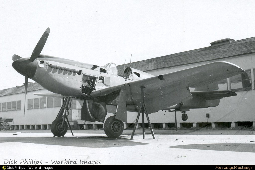 43-6251_8957_dp1.jpg