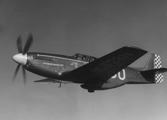43-6859_9697_sd2.jpg