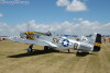 P-51