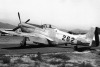 P-51