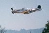 P-51