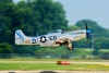 P-51