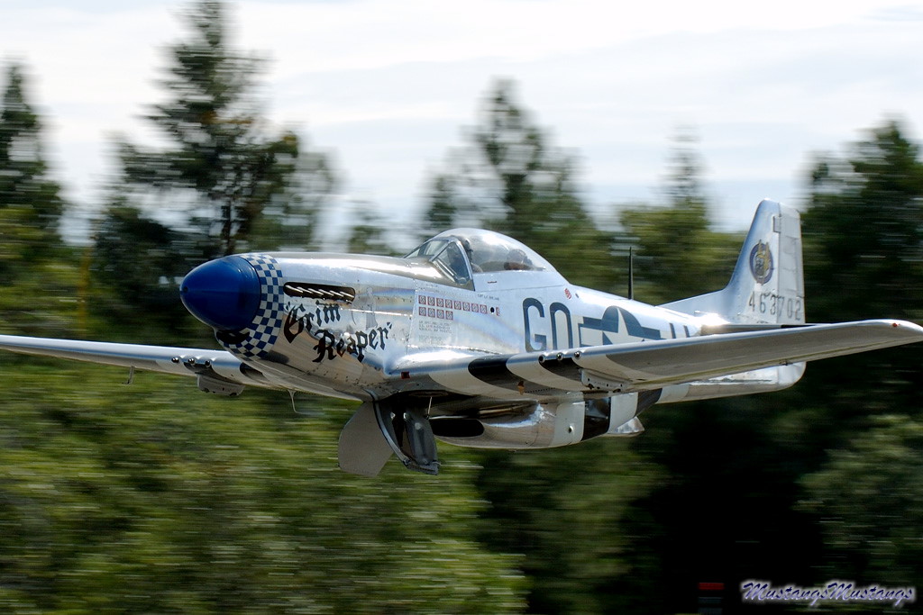 44-63701_00919_cf1.jpg