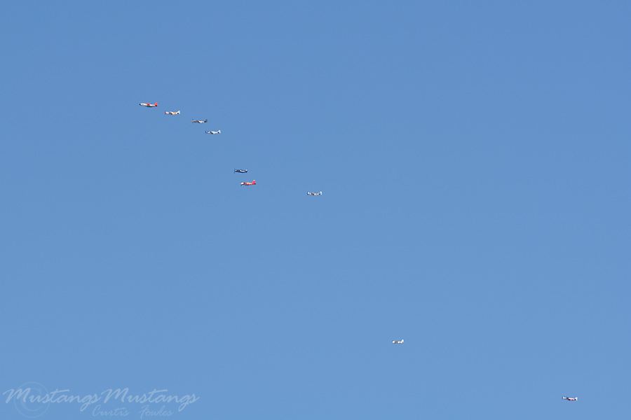 44-63701_00924_cf1.jpg