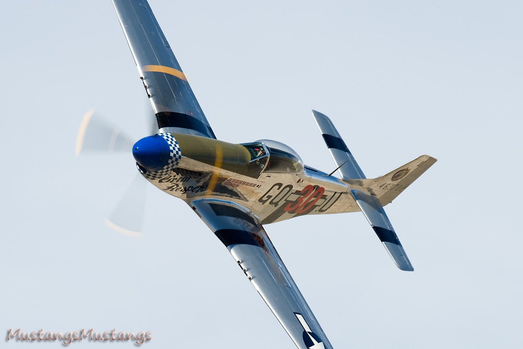 44-63701_7951_cf1.jpg
