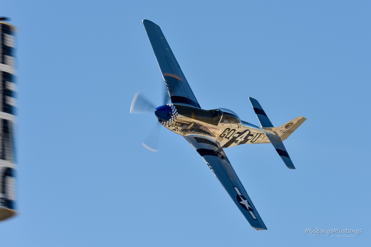 44-63701_9602_cf1.jpg