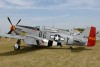 P-51