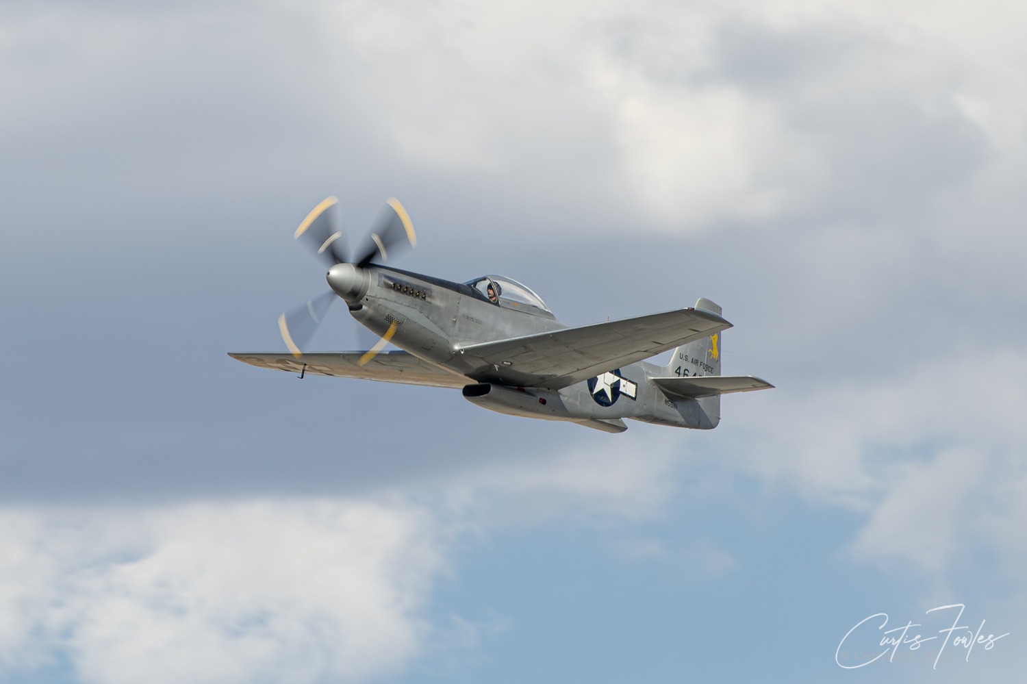 44-64314_10490_cf1.jpg