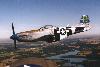 P-51