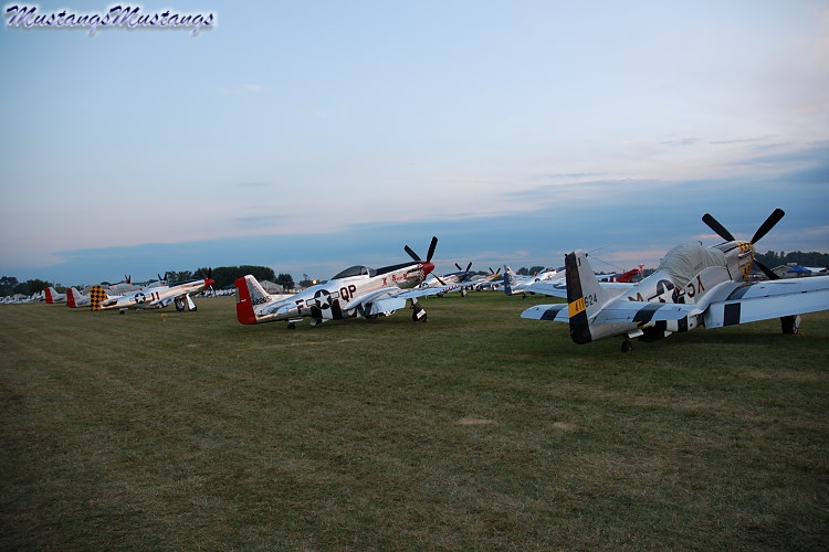 44-72051_01320_cf1.jpg