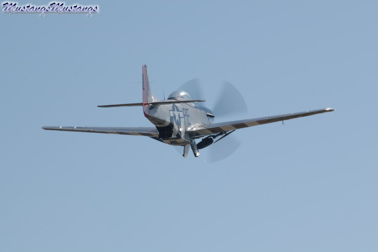 44-72192_01411_cf1.jpg