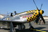 P-51