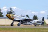 P-51