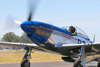 P-51