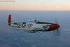 P-51