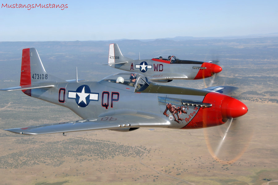44-72907_01838_cf1.jpg