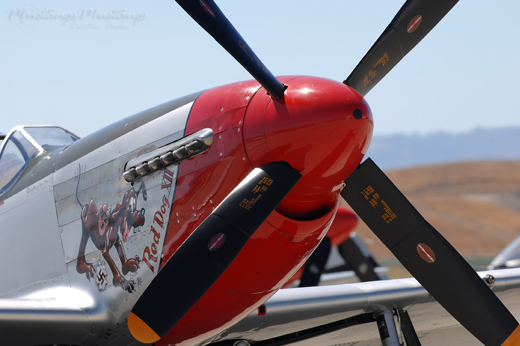44-72907_01854_cf1.jpg