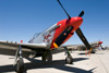 P-51