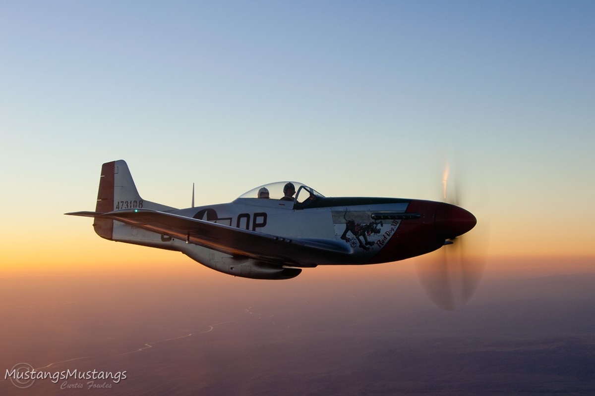 44-72907_8555_cf1.jpg
