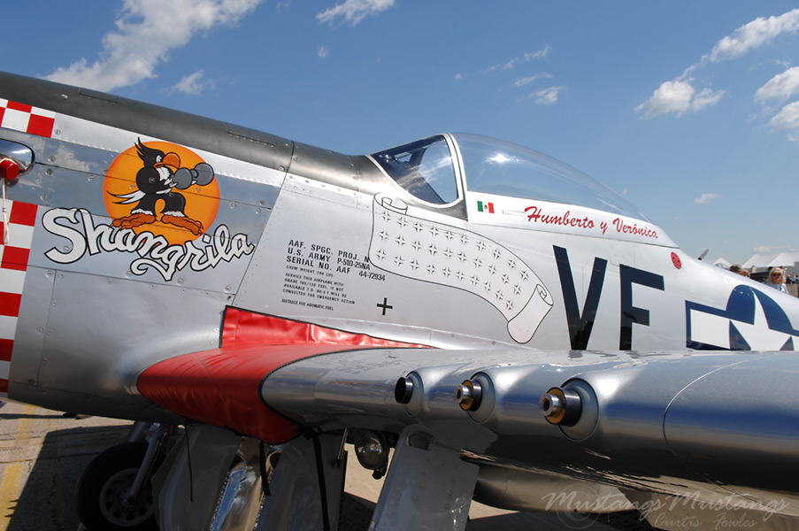 44-72934_01876_cf1.jpg