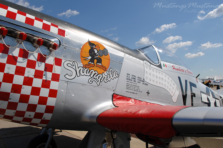 44-72934_01877_cf1.jpg