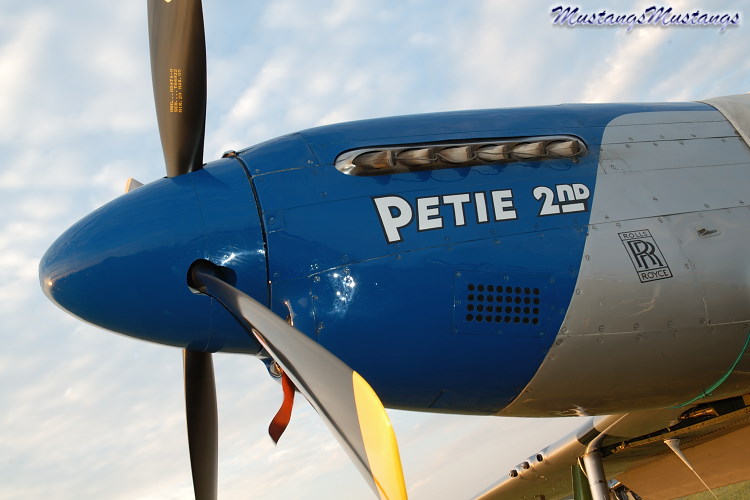 44-72942_01900_cf1.jpg