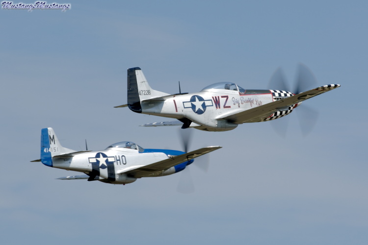 44-72942_01923_cf1.jpg