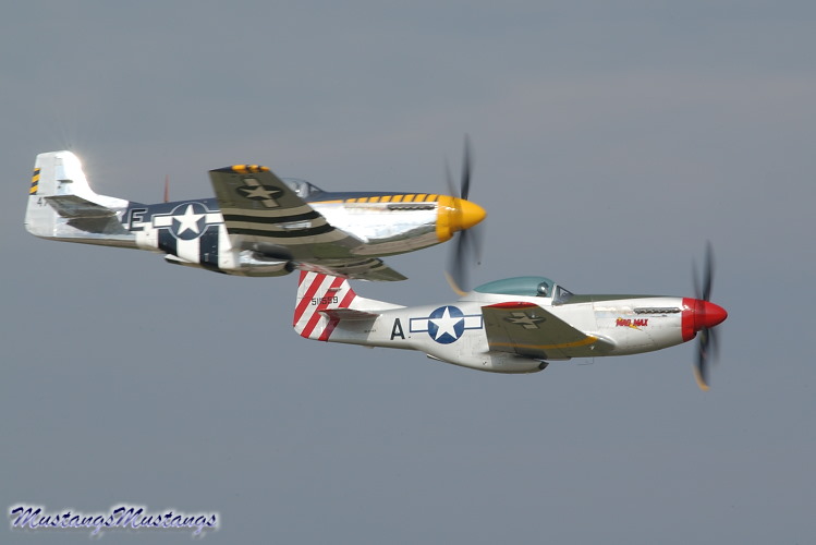 44-73029_01947_cf1.jpg