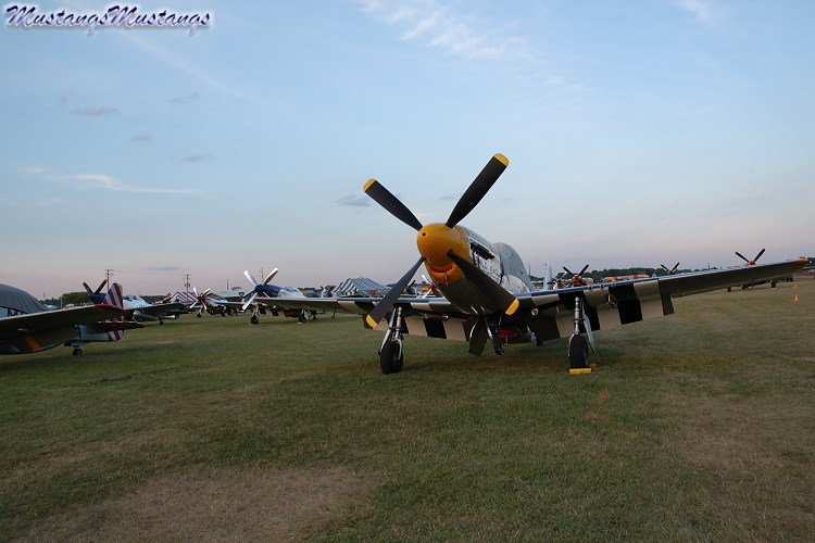 44-73029_01964_cf1.jpg
