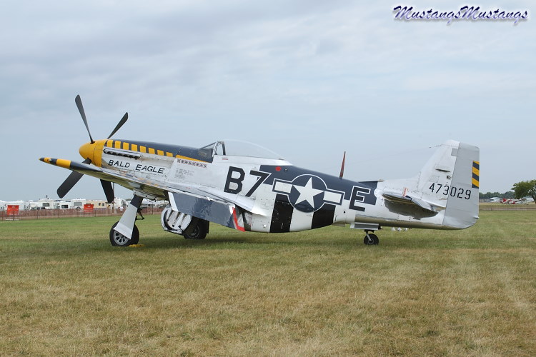 44-73029_01969_cf1.jpg