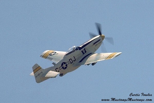 44-73079_01988_cf1.jpg