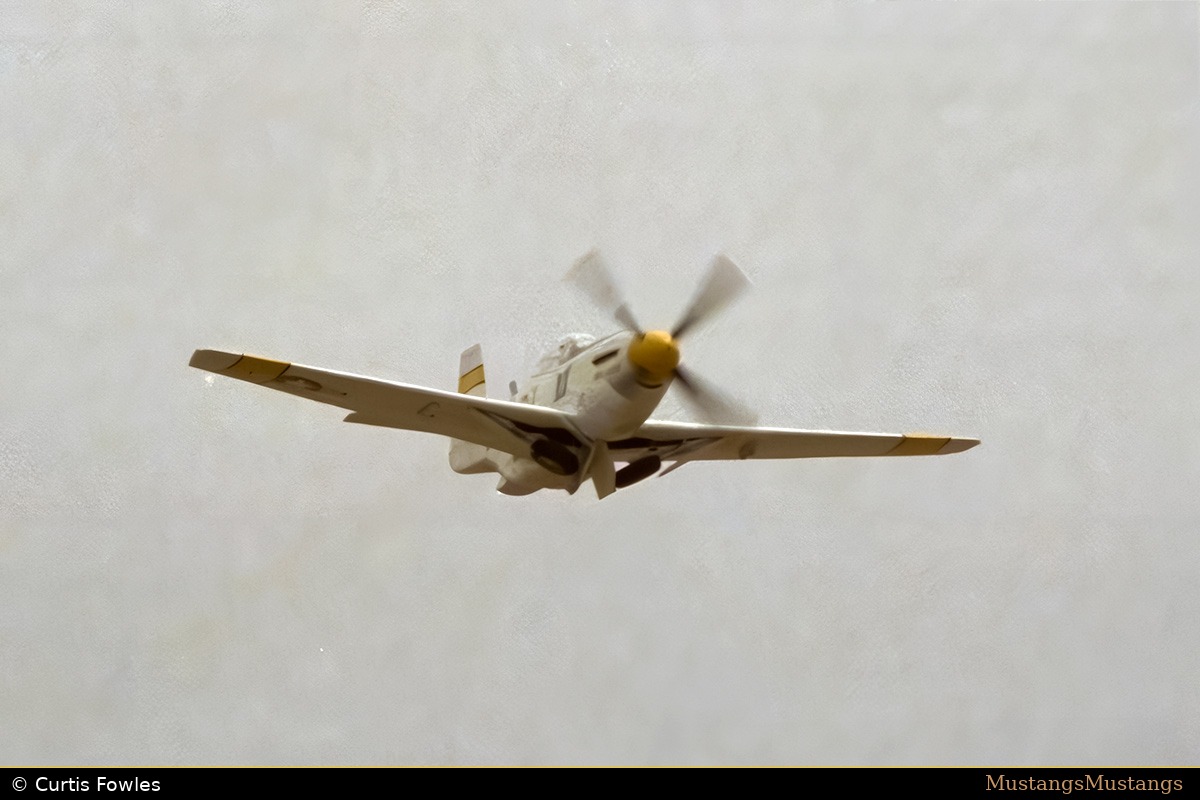 44-73079_01989_cf1.jpg