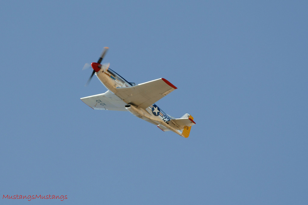 44-73129_02049_cf1.jpg