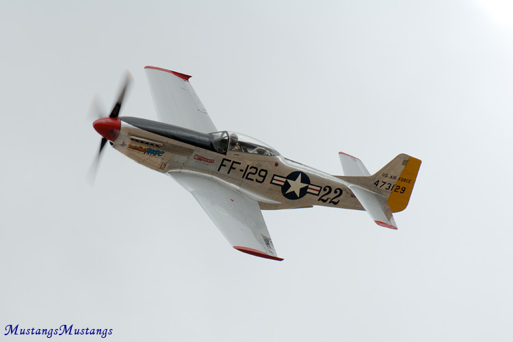 44-73129_02052_cf1.jpg