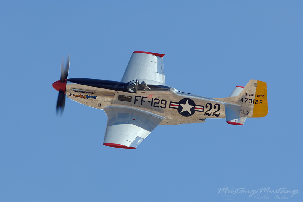 44-73129_02068_cf1.jpg