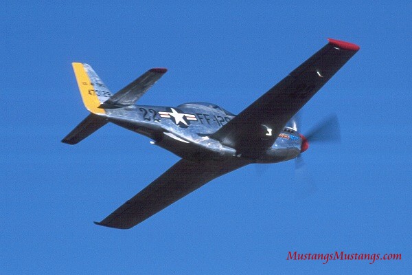 44-73129_06855_cf1.jpg