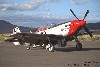 P-51