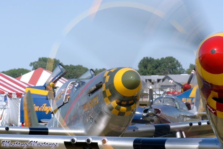 44-73264_02302_cf1.jpg