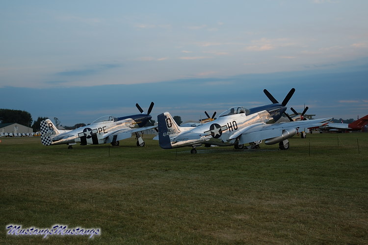 44-73279_02365_cf1.jpg