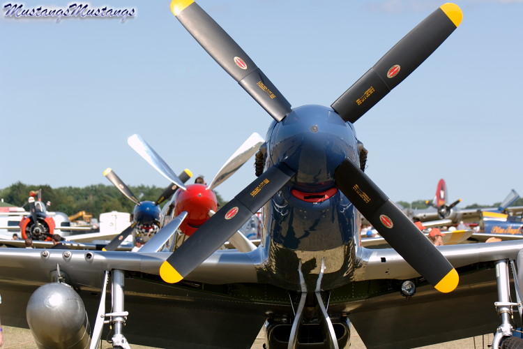 44-73279_02375_cf1.jpg