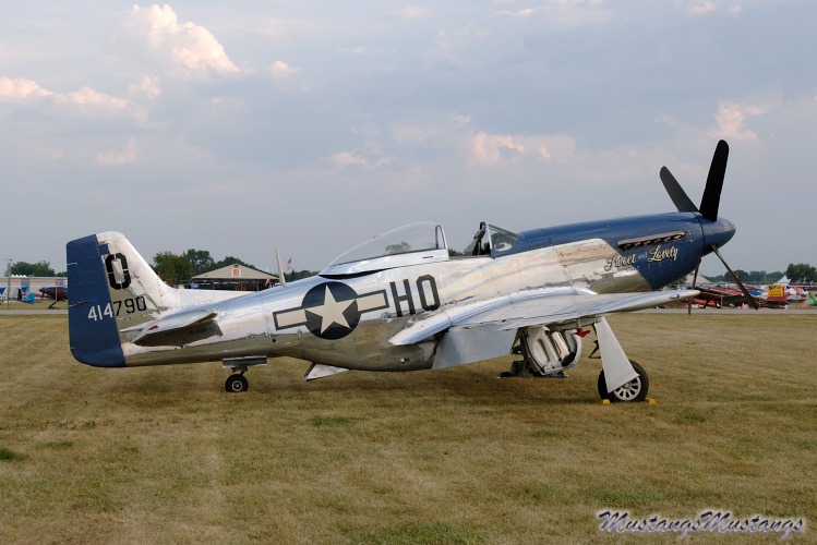 44-73279_02383_cf1.jpg