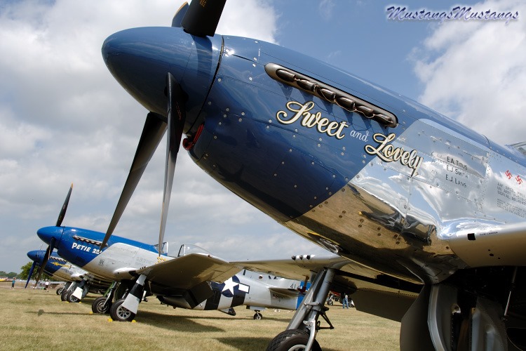 44-73279_02384_cf1.jpg
