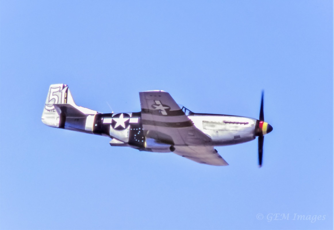44-73423_10016_gm5.jpg