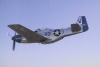 P-51