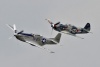 P-51