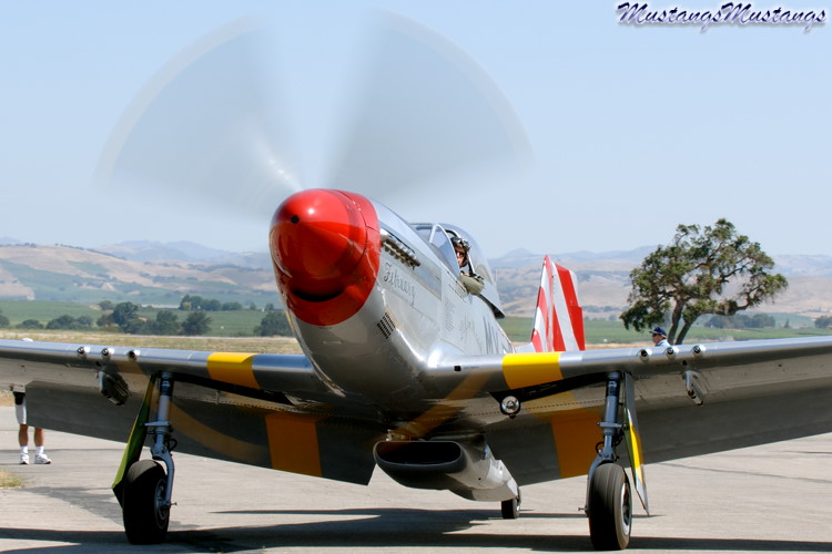 44-74391_03332_cf1.jpg