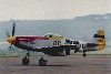 P-51