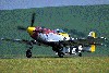 P-51