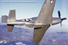 P-51
