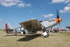 P-51